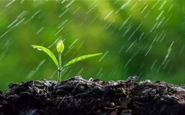 春天的雨300字作文6篇