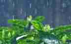 小英雄雨来的心得体会7篇