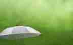 四年级雨作文300字作文6篇