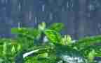 2024下大雨作文参考7篇
