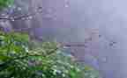 我是雨的作文400字优秀5篇