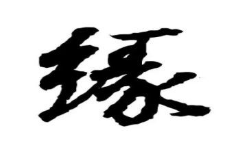 缘来社区服务中心工作总结优质5篇