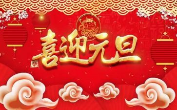 关于元旦的活动总结6篇