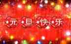 关于写元旦的作文参考8篇