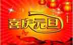 写元旦的作文500字优秀6篇