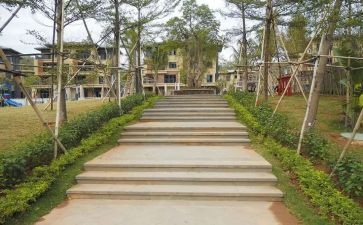 园建项目管理心得体会模板7篇