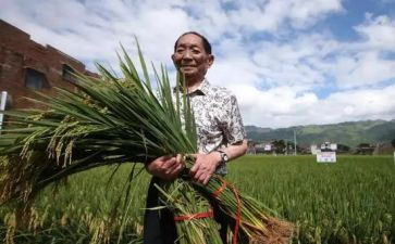对袁隆平的演讲稿8篇