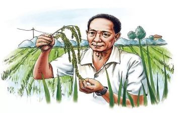 学袁隆平事迹的心得体会5篇