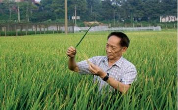 袁隆平的事迹介绍心得体会7篇
