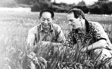 关于袁隆平的作文5篇