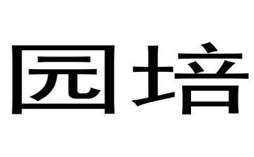 幼儿园培训后的心得6篇