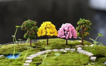 写校园艺术节的作文通用5篇