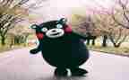 《悦》作文500字优质5篇