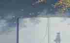谈阅读的演讲稿精选6篇