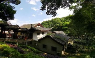 爬岳麓山作文8篇