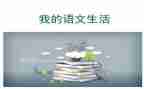 我我的语文老师作文优质7篇
