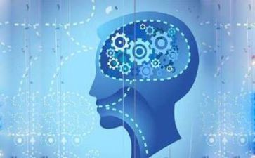 学语言的心得体会6篇