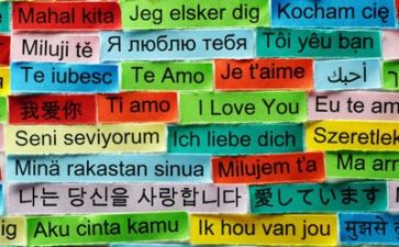 语言教案的模板5篇