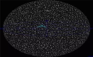 语言教案的模板最新6篇