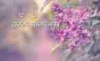 我早恋的作文7篇