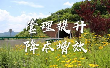 提质增效活动方案8篇
