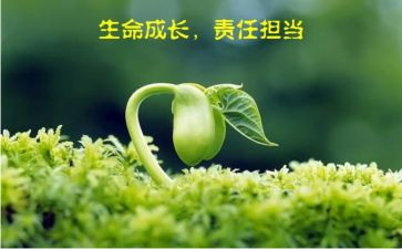 青春责任与担当演讲稿8篇