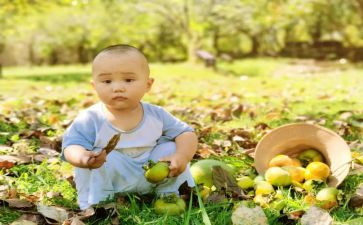 摘果子游戏教案5篇