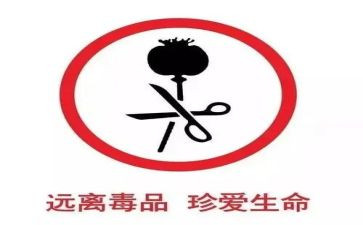 观看张子权事迹心得体会6篇