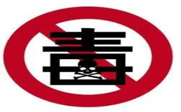 张子权事迹观后感模板5篇