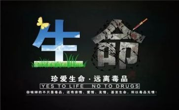张子权先进事迹观后感6篇