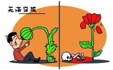 张子权先进事迹心得体会通用8篇