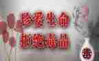 张子权先进事迹观后感优质6篇