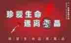 张子权先进事迹心得体会参考8篇