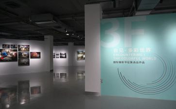 展览活动方案7篇
