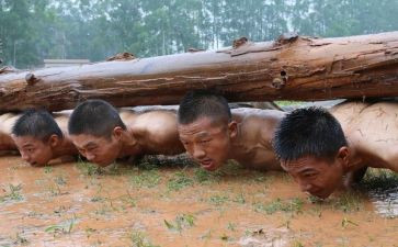 中国统一战线史心得体会6篇
