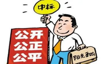 年度招标工作总结8篇