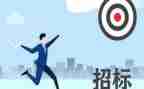 2024年招标办工作计划7篇