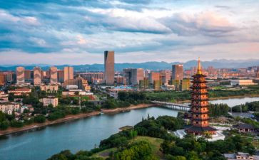 浙江劳动合同8篇
