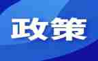 2024年双减政策心得体会参考6篇