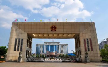 政府类的工作总结7篇