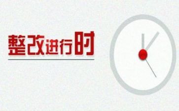 一报告两评议整改报告5篇