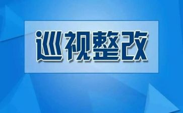 整改报告参考5篇