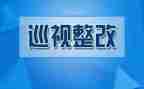 整改报告5篇