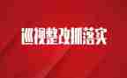 对照问题整改情况报告6篇