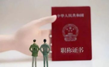 正高级工程师专业技术工作总结7篇