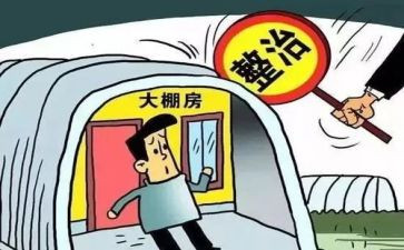 环境整治的心得体会8篇
