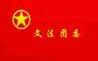 2024年镇团委述职报告7篇