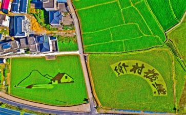 乡镇2024年乡村振兴工作总结7篇