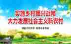 村乡村振兴专干述职报告6篇