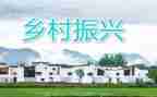 2024乡村振兴工作总结优秀5篇